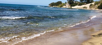 Experience Authentic Jamaica