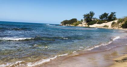 Experience Authentic Jamaica