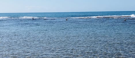 Una spiaggia nelle vicinanze, teli da spiaggia