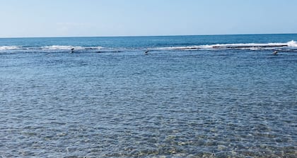 Experience Authentic Jamaica