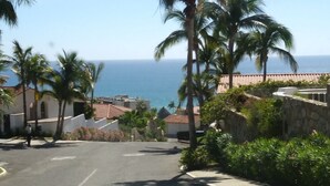 A residential street with palm trees, a view of the ocean, and houses with red-tiled roofs.