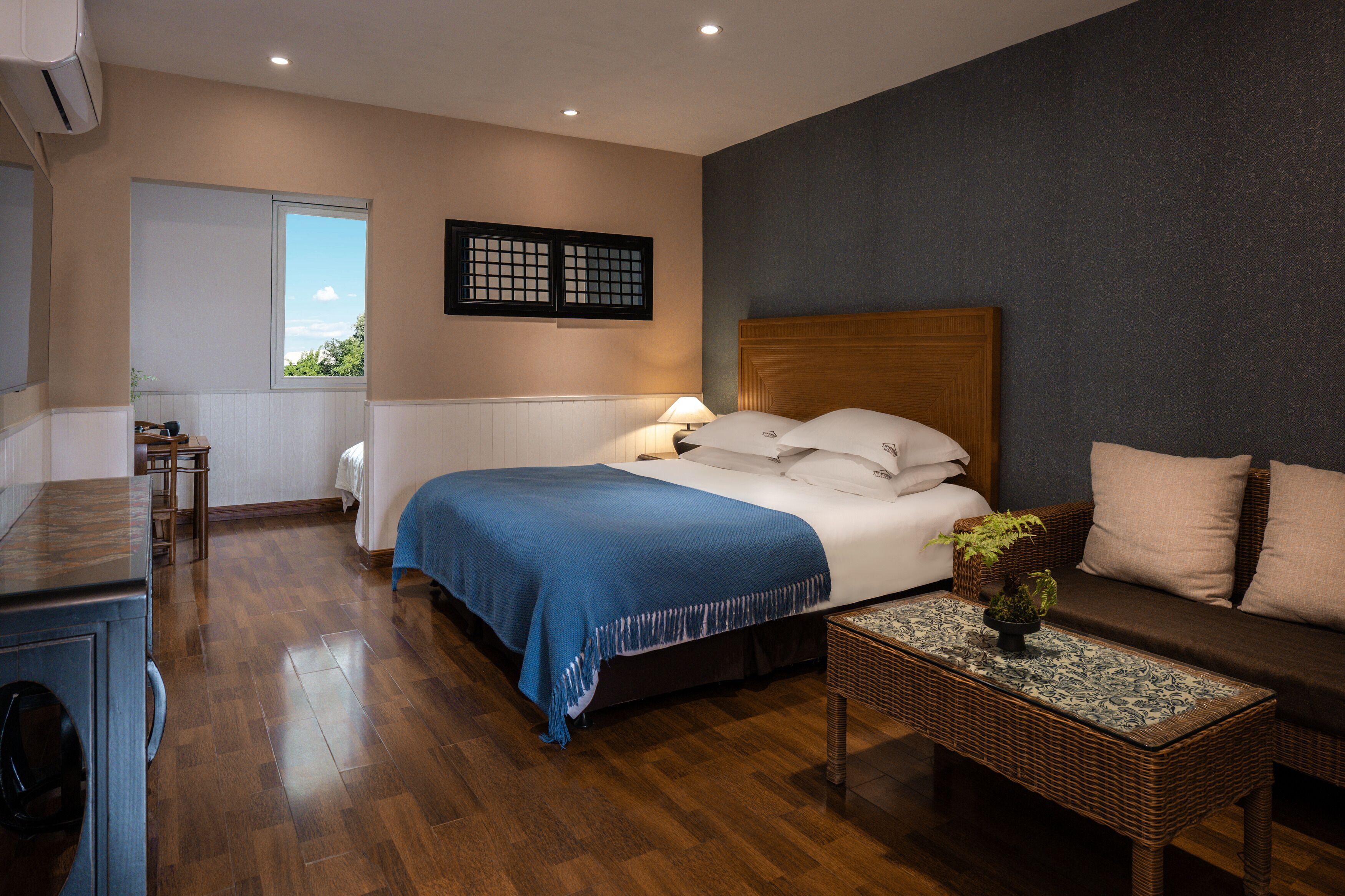 Habitación de hotel con cama, sofá, una mesita con planta, ventana y aire acondicionado instalado en la pared.