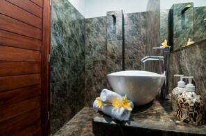 Shower, hair dryer, bidet, towels