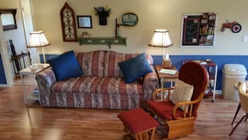 TV, DVD player, books, video library