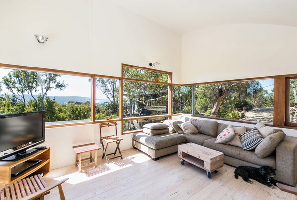 TV, fireplace, DVD player