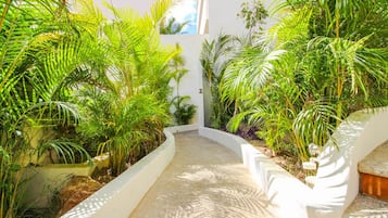 Áreas de la propiedad