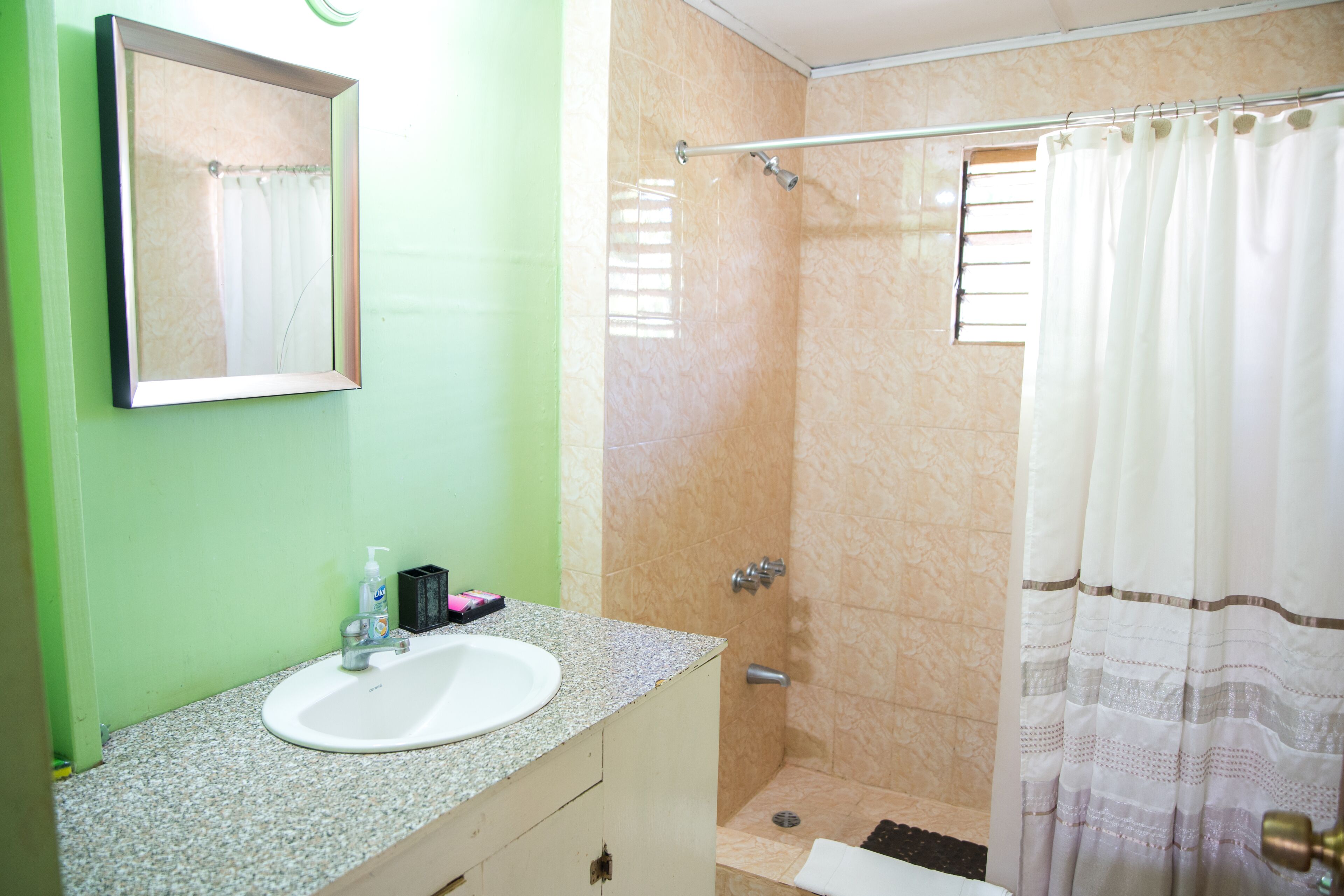 Baño con lavamanos, espejo, ducha y cortina.