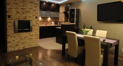 Torun Apartment Modern apartment in the Torun city center
