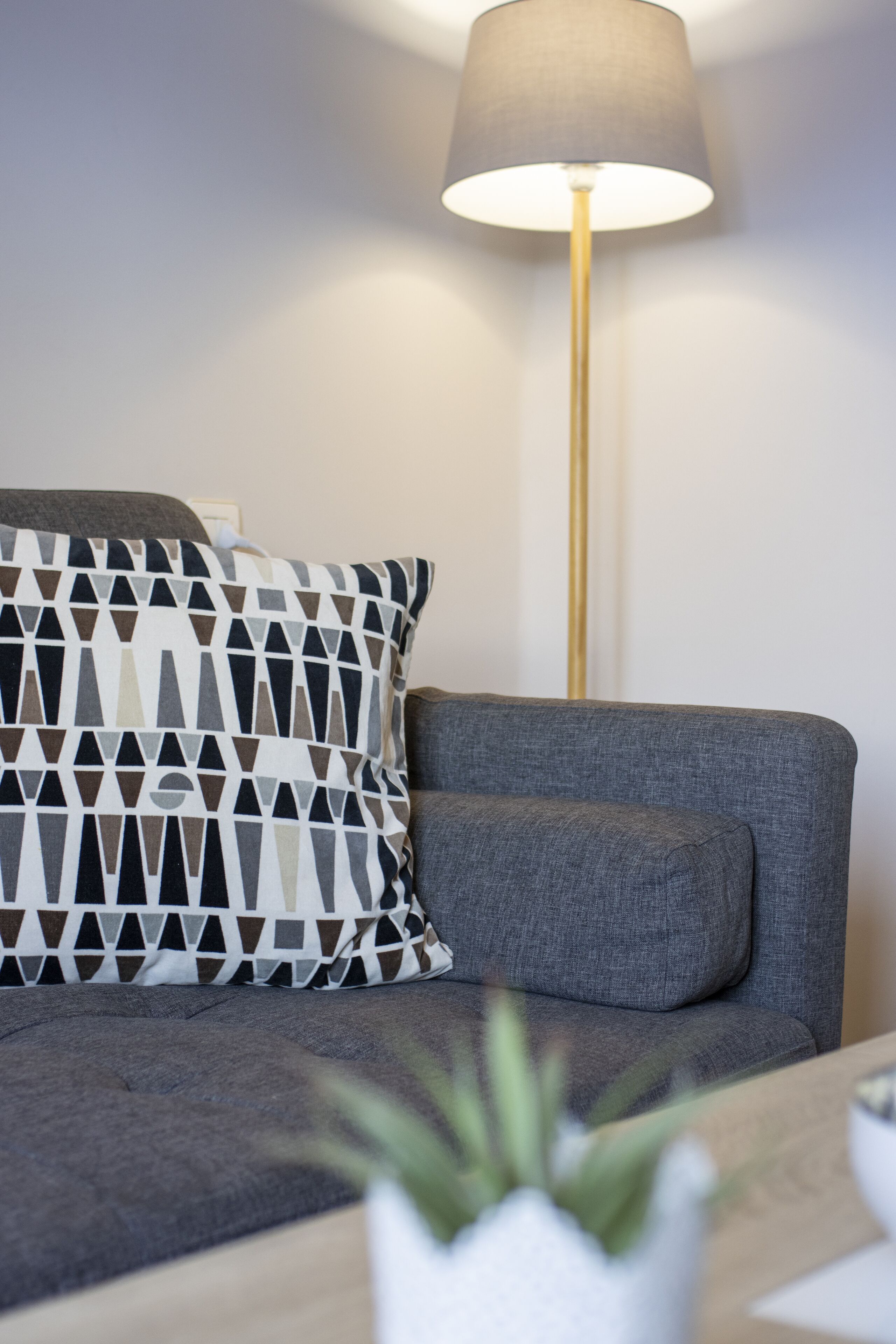 Un salon moderne avec un canapé gris, des coussins à motifs, une lampe sur pied et une petite plante posée sur une table en bois.