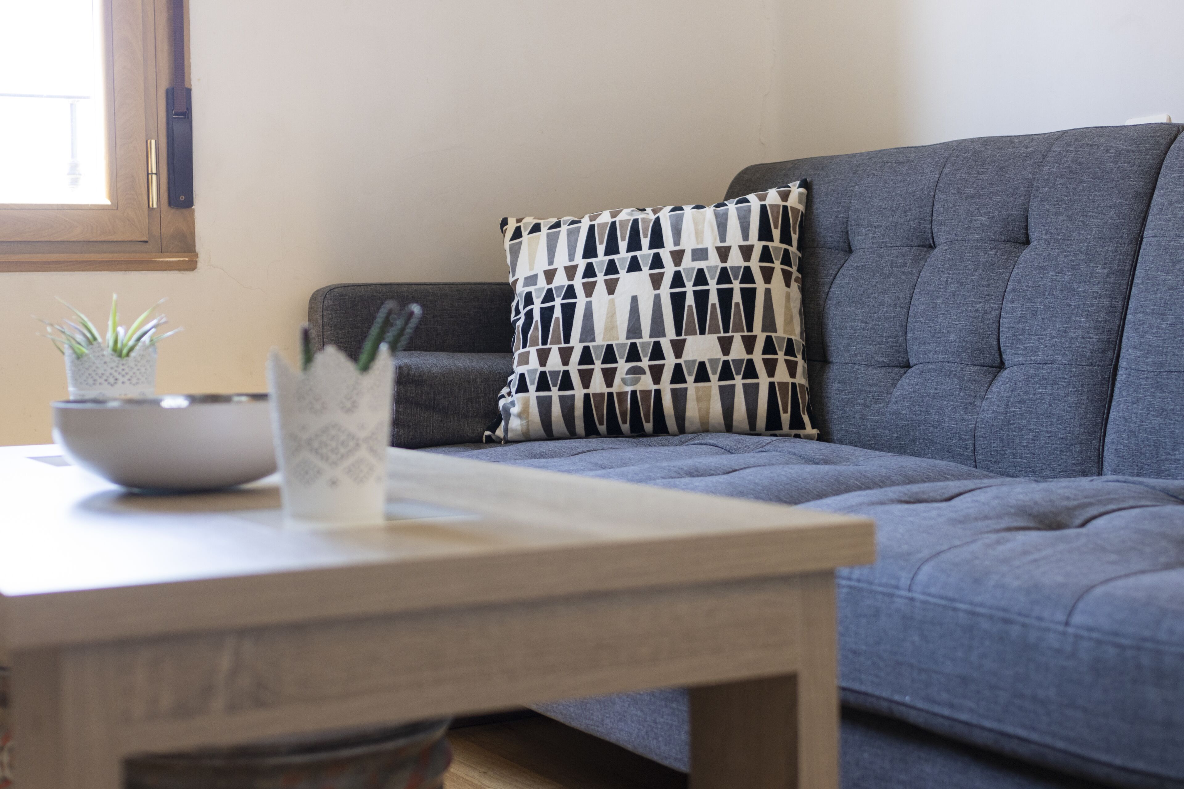 A living room with a grey sofa, a patterned pillow, a small plant, and a bowl on a wooden table.