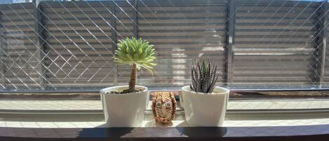 Two potted plants on a windowsill with a metal fence and a building in the background.