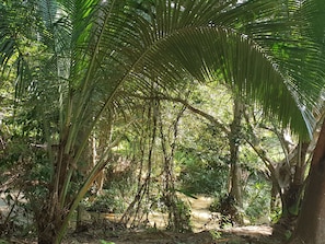 Lake - Jungle House Udawalawe Holiday Lodge (Udawalawa)