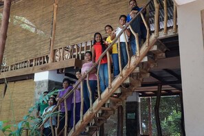 テラス / パティオ