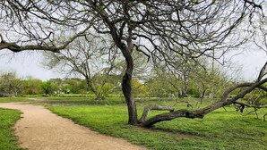 A park with a dirt path, a bench, and trees. - Seaside Villa by the Oso Bay Comfortable Bed! (Corpus Christi)