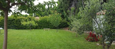 A well-maintained grassy area with a bench, surrounded by various trees and shrubs.