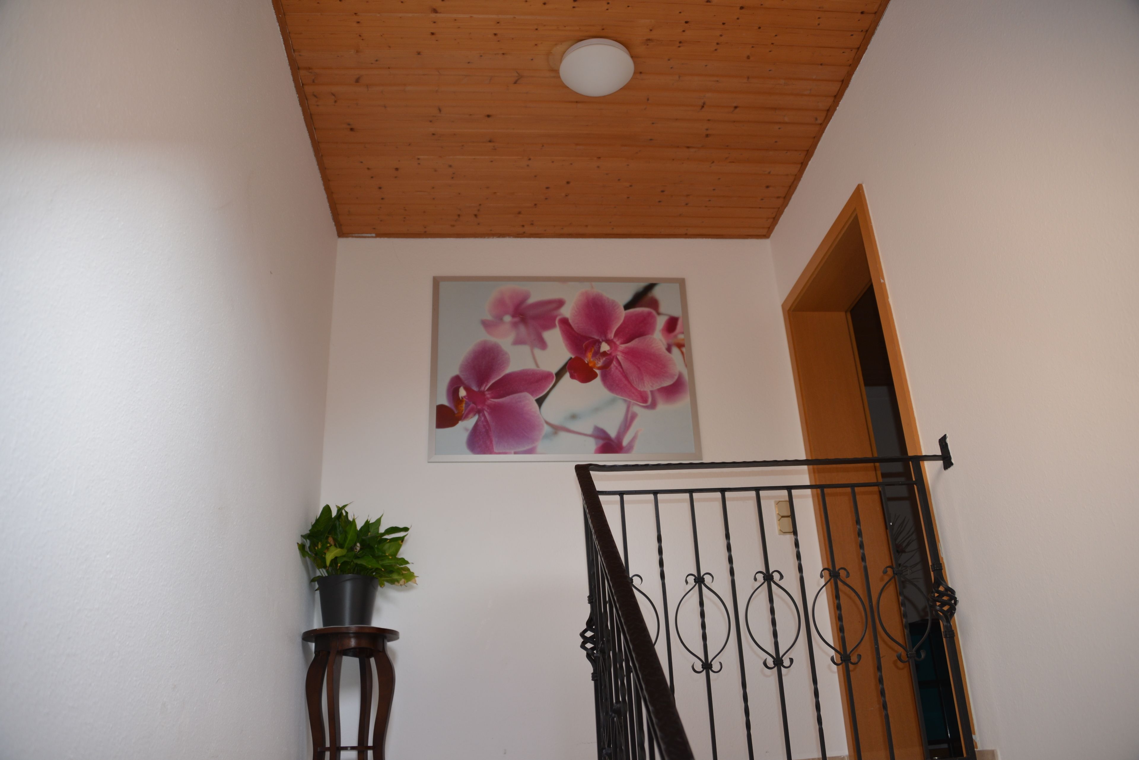 Una habitación con techo de madera, una planta en maceta, un cuadro de flores rosas y una reja de metal negro.