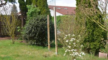 Un jardín vallado con diversos árboles y arbustos, incluyendo un árbol de hoja perenne alto y plantas con flores.
