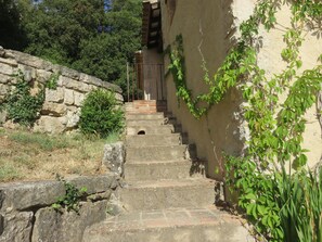Property grounds - More Nou, house and swimming pool in the middle of nature. (ALBIOL)