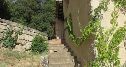 Mas Nou, casa y piscina en plena naturaleza.
