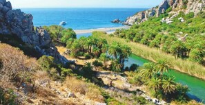 A coastal landscape with a beach, palm trees, and a river. - panoramic sea view (Agalianos)