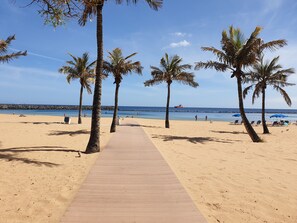 Relax by the ocean with a serene beach scene featuring palm trees, sun loungers, and a clear pathway to the sea.