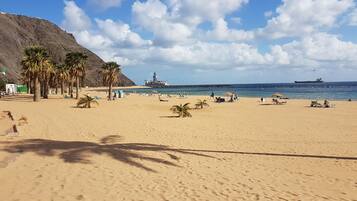 Relax on the beach surrounded by palm trees and enjoy the views of the marina.