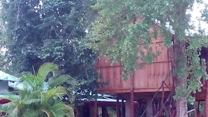 Property grounds - Walawwa home stay villa Sigiriya - Hostel (Sigiriya)