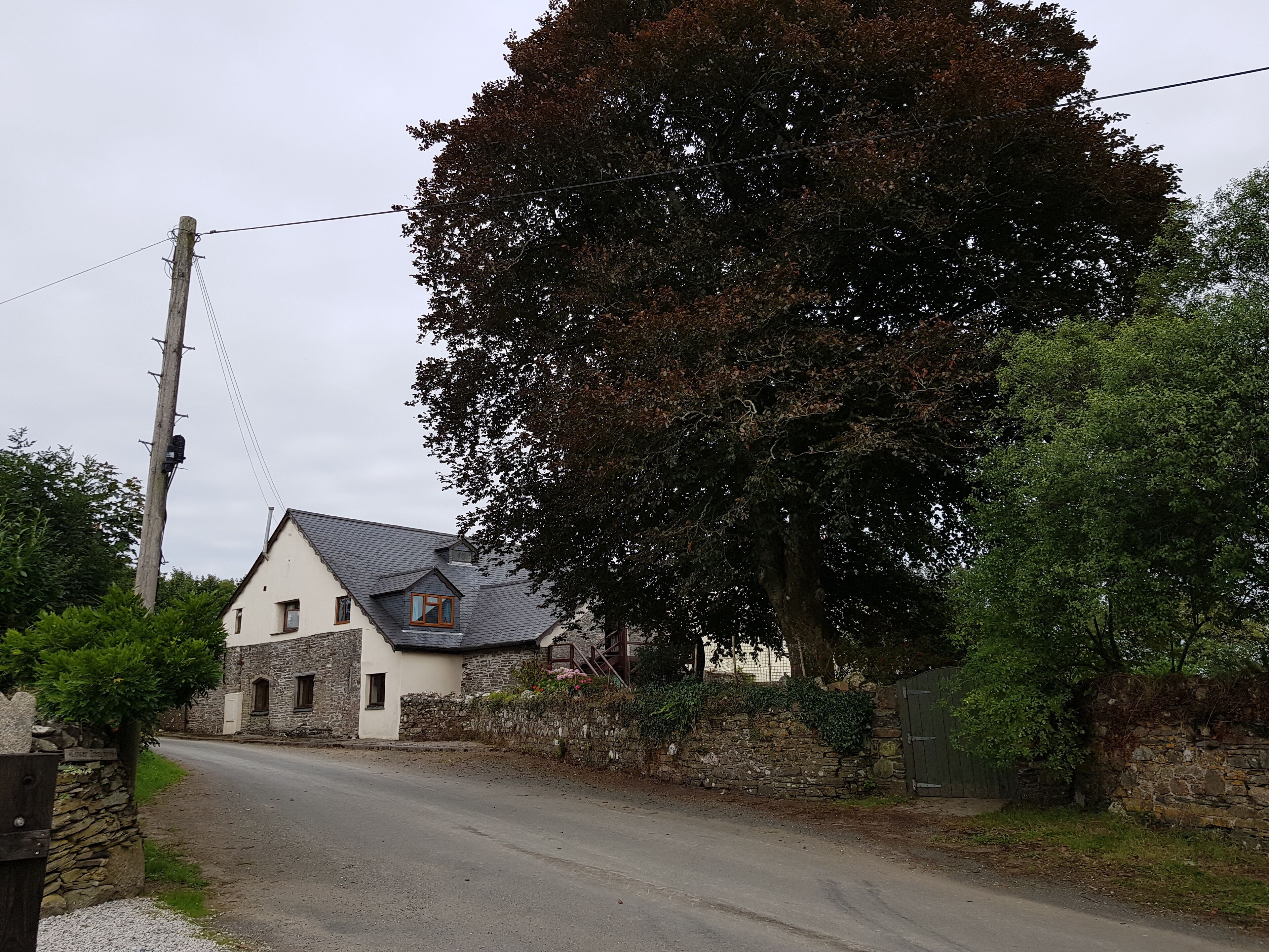 Eine ländliche Straße mit einem Steinhaus, das ein geneigtes Dach und einen großen Baum im Hintergrund hat.