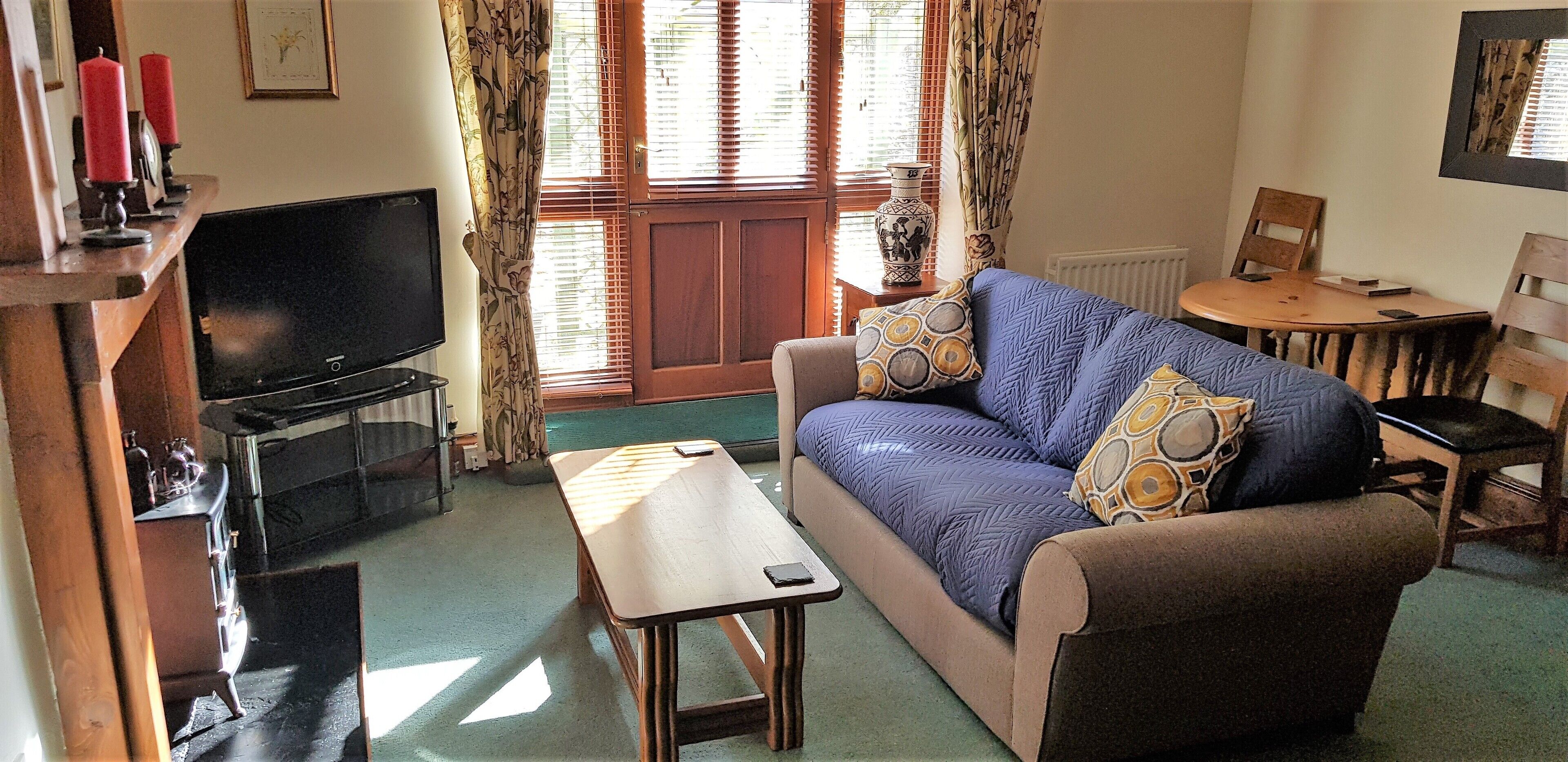 TV, fireplace, books