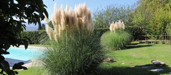 Charming cottage with private pool in Siena area