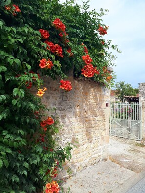 Property grounds - Gîte Sous le tilleul with above ground pool (Couture)