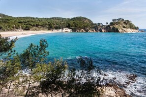 A coastal landscape with clear blue waters, rocky shores, and a forested hill in the background.