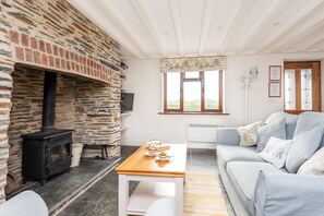 TV, fireplace - Over The Hedge, Boscastle, peaceful rural location (Warbstow)