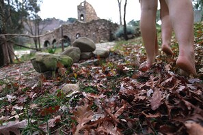 Property grounds - Independent room "Maria Pia" (Sassetta)