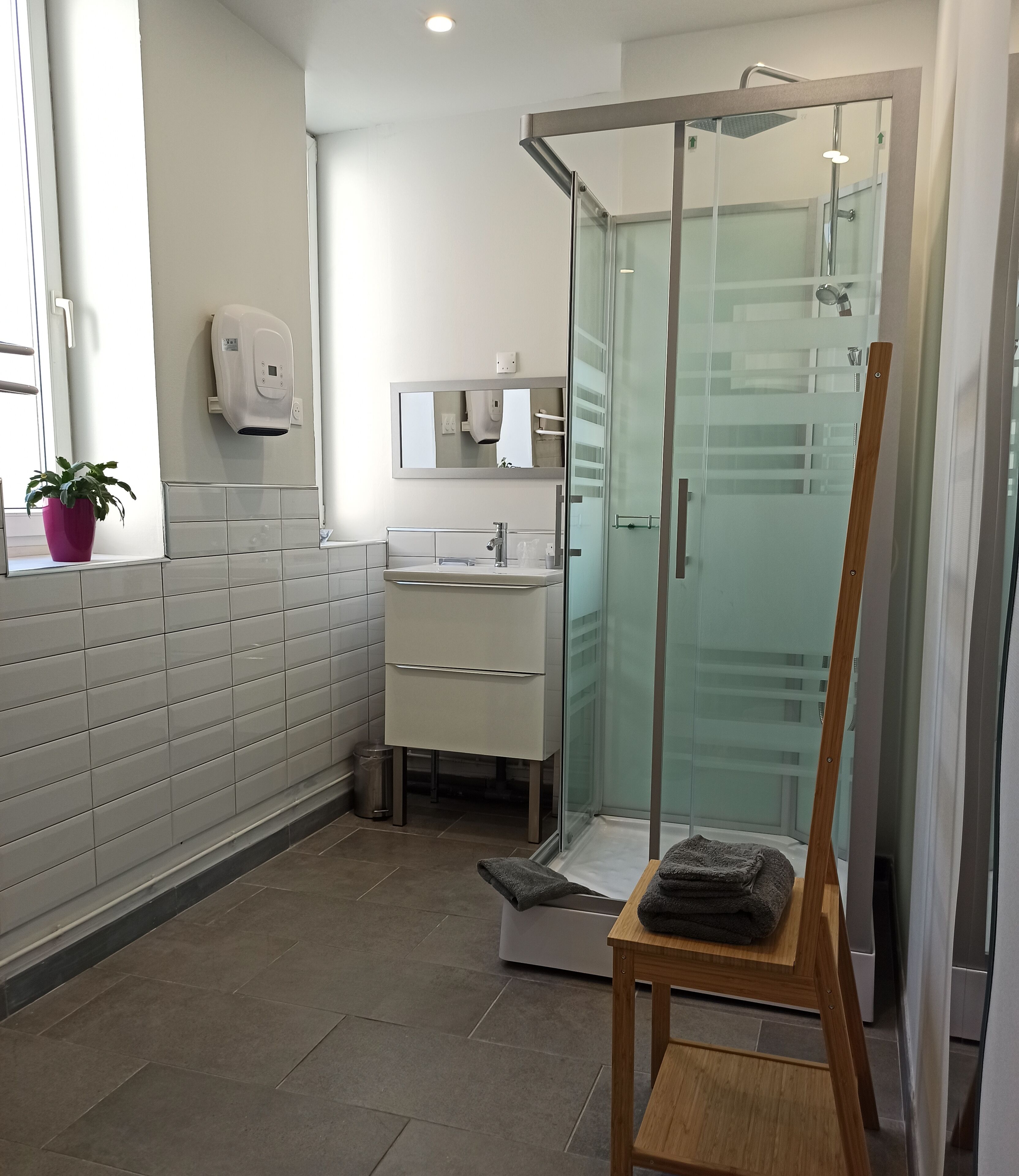 A modern bathroom with a glass shower enclosure, a sink with a mirror, and a potted plant.