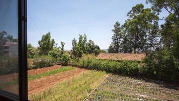 Phong cảnh nhìn từ nơi lưu trú