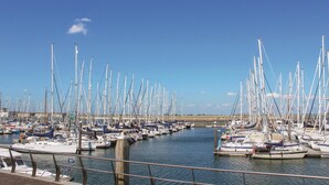 A marina with numerous sailboats docked, a clear blue sky, and calm water.