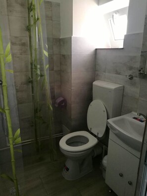 5 bedrooms, premium bedding, down comforters, memory foam beds - Casa Renea (Sfantu Gheorghe)