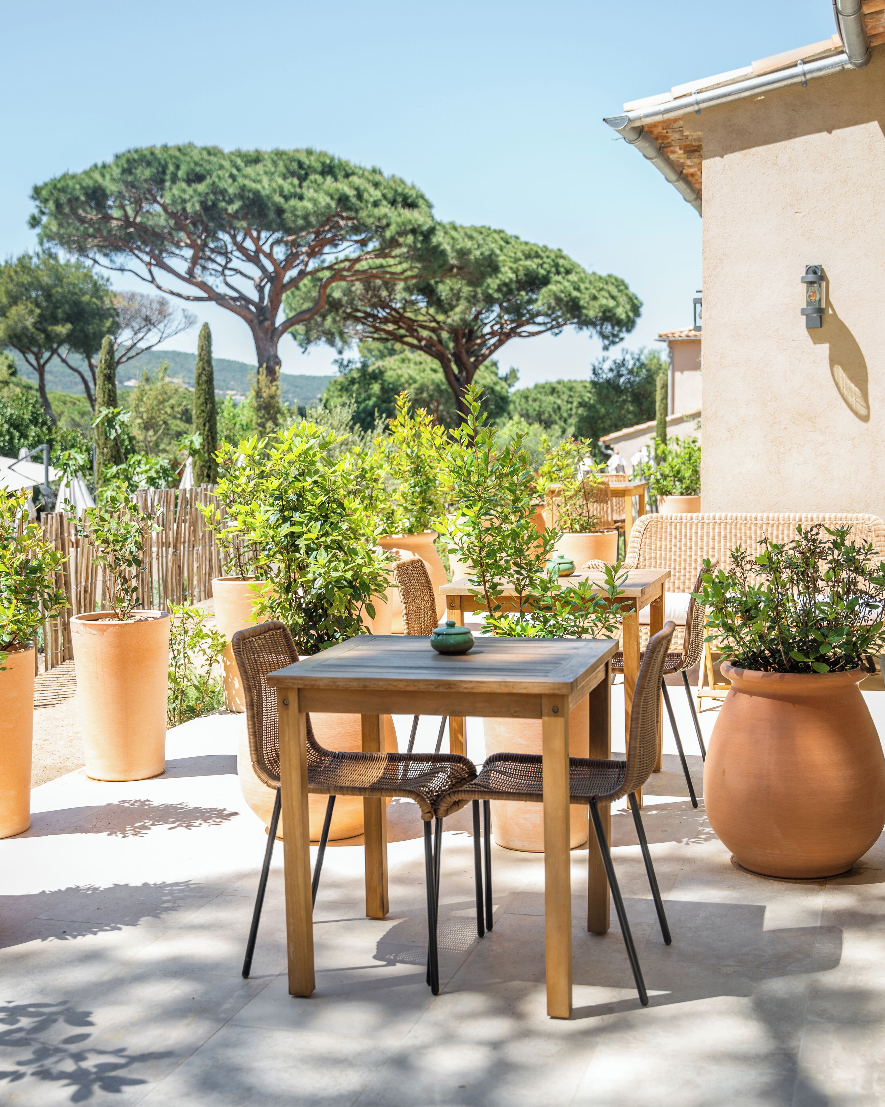 An outdoor patio area with a wooden table and chairs, surrounded by potted plants and a view of a large tree.