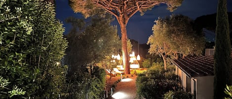A tree-lined pathway leading to a building with outdoor seating and hanging lights.