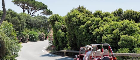 Un véhicule tout-terrain rouge sur une route sinueuse, entouré d’une végétation luxuriante et d’arbres.