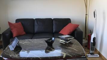 TV connectée, cheminée, livres