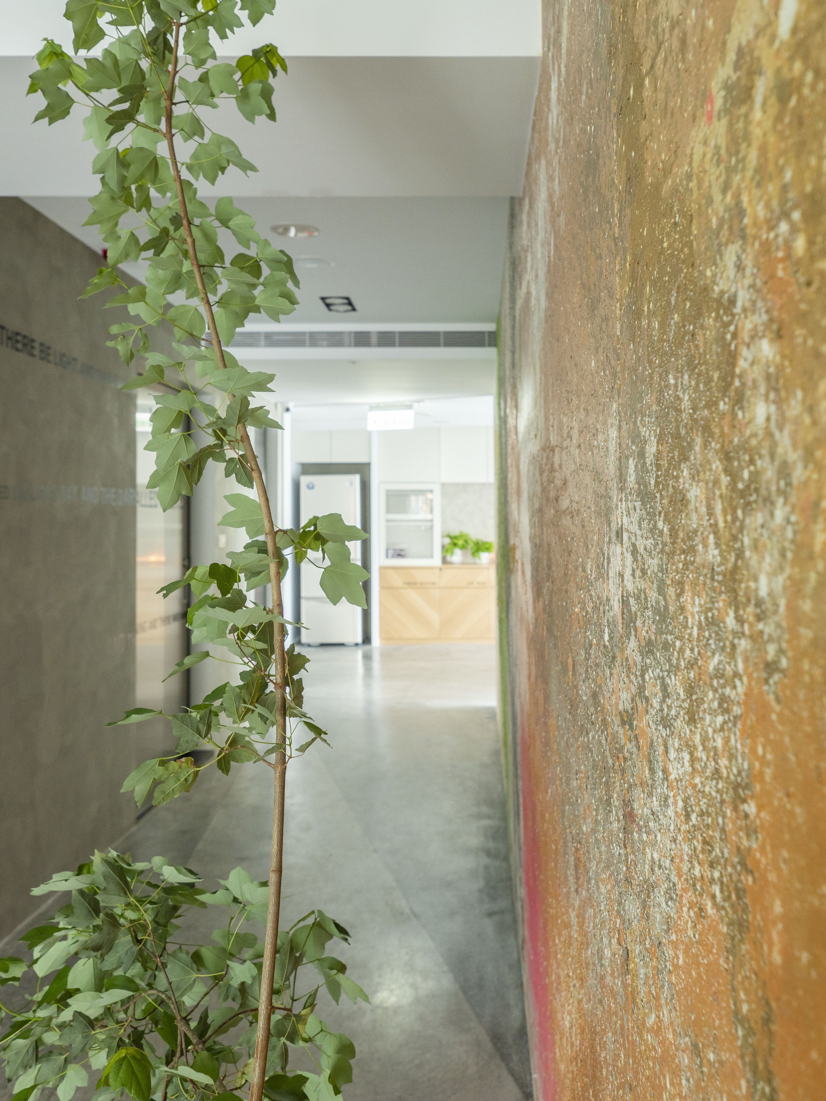 A modern interior with a concrete wall, a plant, and a textured wall.