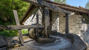 Ein rustikaler Stebrunnen mit einer hölzernen Konstruktion darüber, umgeben von Grünpflanzen.
