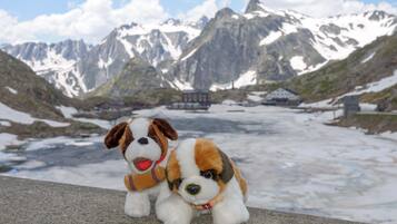 Two plush dogs on a concrete surface with a mountainous landscape in the background.
