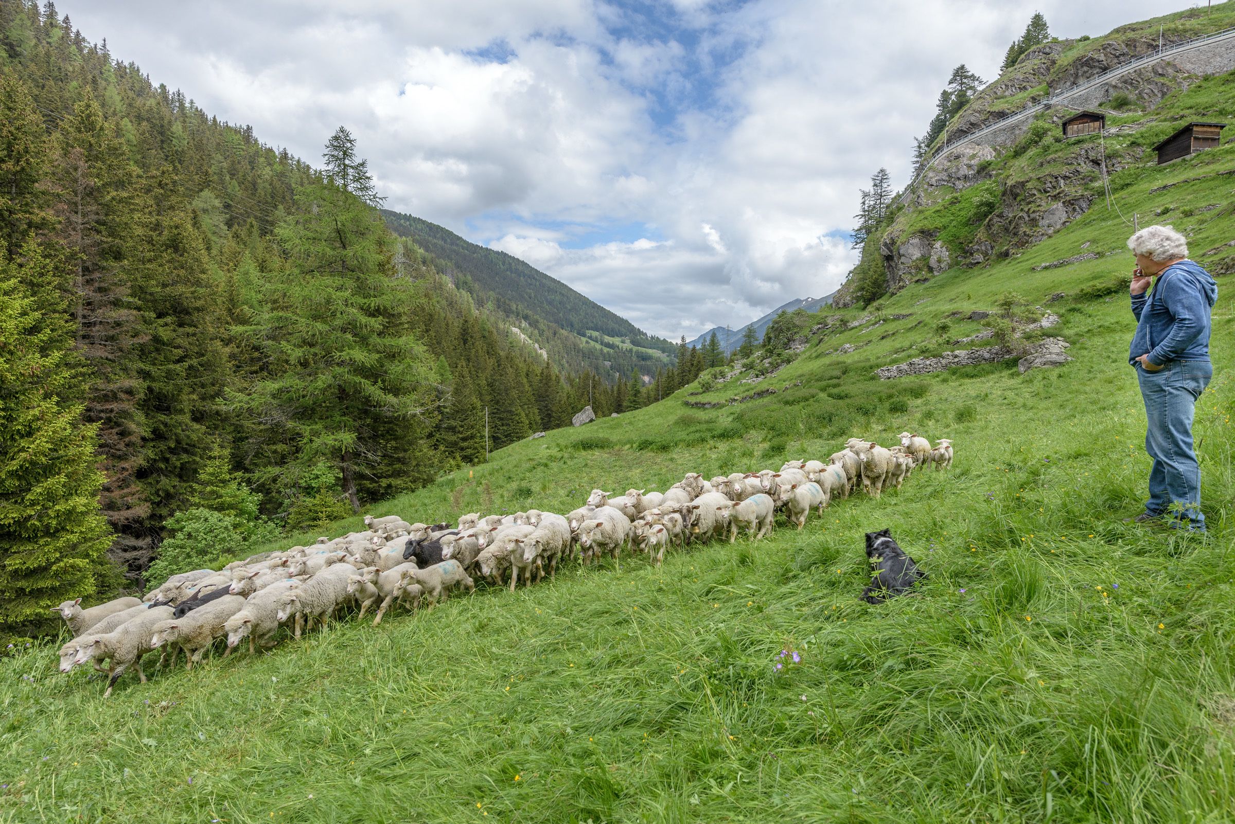 A mountainous landscape with a herd of sheep and a person standing on a grassy slope.