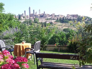 Garden view - B&B Il Fienile (San Gimignano)