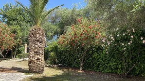 Un pilar de piedra, un sendero y un jardín con diversas plantas y flores.