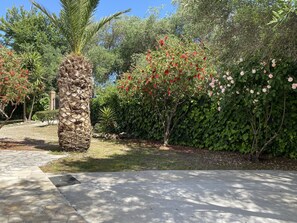 Exterior - Alexander Apartments (Corfu)