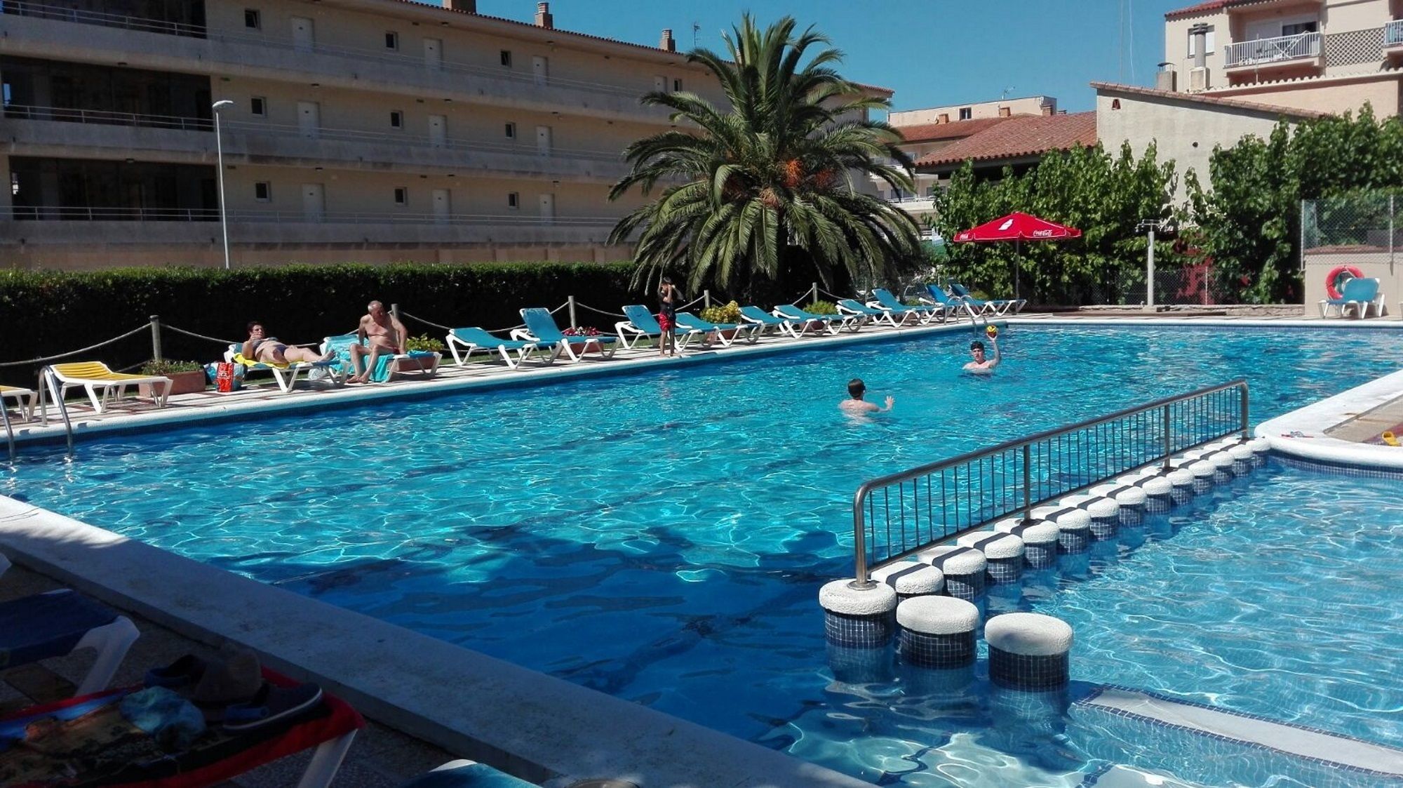 A swimming pool with lounge chairs and a palm tree.